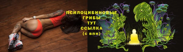 первитин Белоозёрский