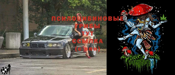 мяу мяу мука Алапаевск